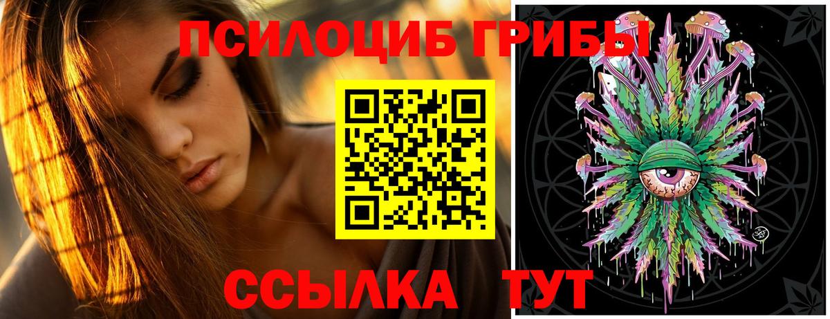 Псилоцибиновые грибы GOLDEN TEACHER Нурлат