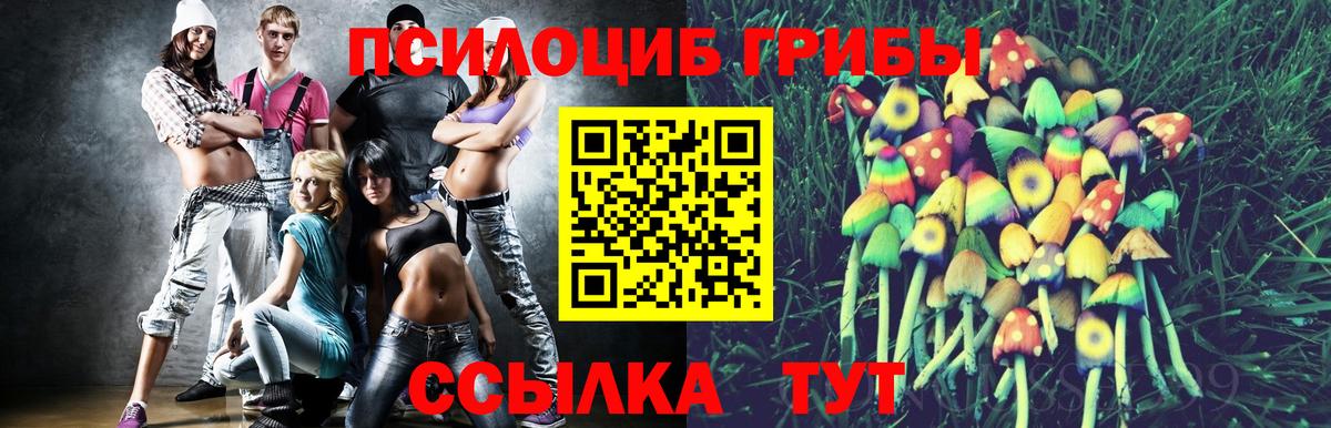 Нурлат  Псилоцибиновые грибы ЛСД  Псилоцибиновые грибы Cubensis  где продают наркотики  Вход с VPN 